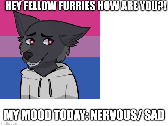 Hey guys! | HEY FELLOW FURRIES HOW ARE YOU?! MY MOOD TODAY: NERVOUS/ SAD | image tagged in furry,furry memes | made w/ Imgflip meme maker