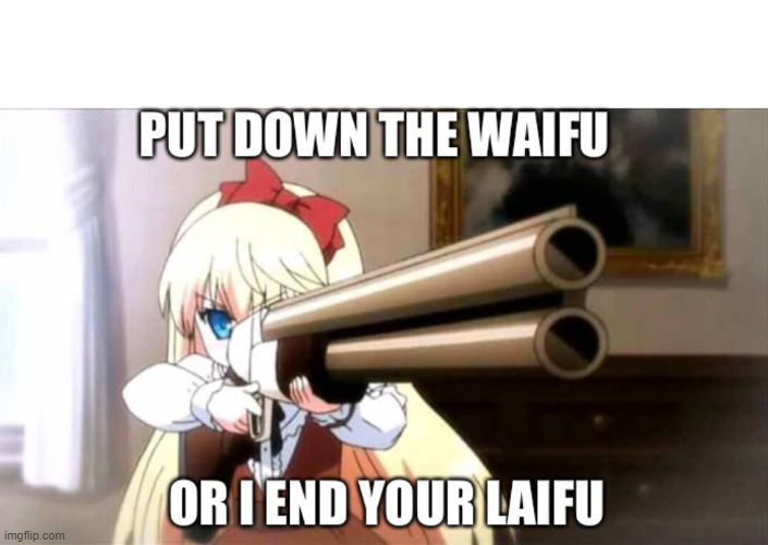 Put down the waifu | image tagged in put down the waifu | made w/ Imgflip meme maker