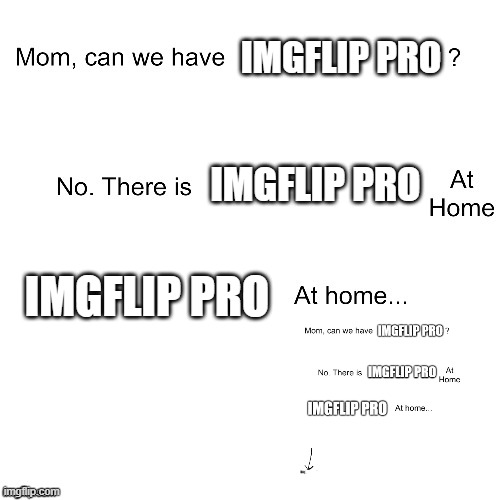 Fourth wall break | IMGFLIP PRO; IMGFLIP PRO; IMGFLIP PRO | image tagged in mom can we have | made w/ Imgflip meme maker