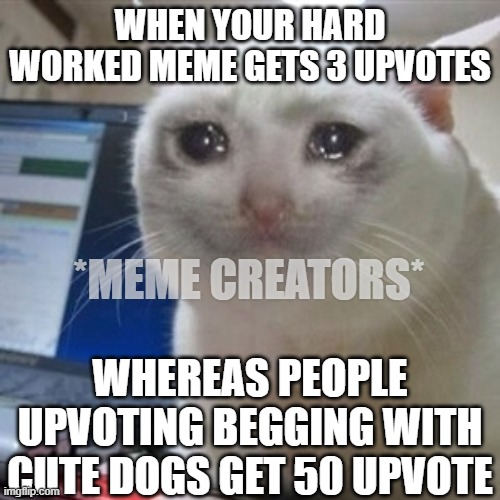 TRUTH!! | WHEN YOUR HARD WORKED MEME GETS 3 UPVOTES; *MEME CREATORS*; WHEREAS PEOPLE UPVOTING BEGGING WITH CUTE DOGS GET 50 UPVOTE | image tagged in crying cat,funny,memes,funny memes,truth | made w/ Imgflip meme maker