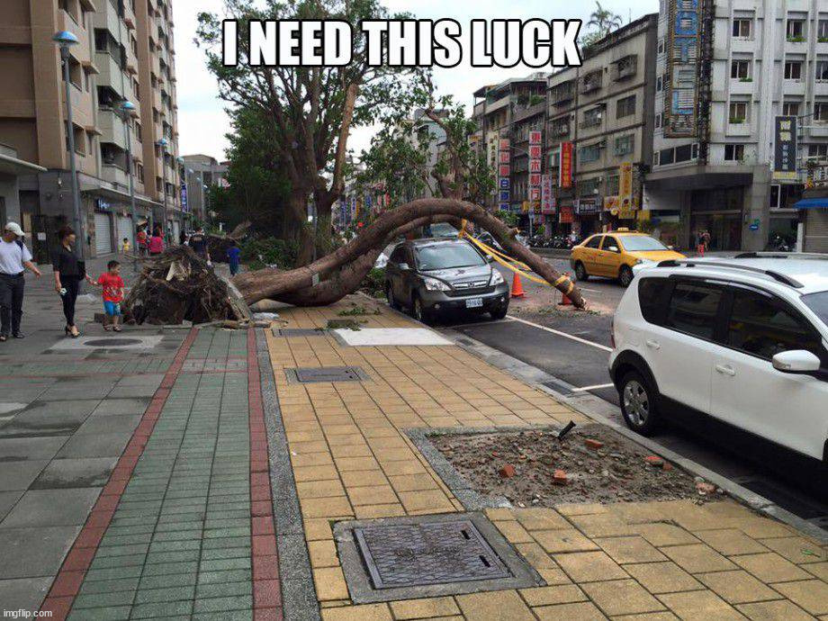 I wish I had that kind of luck | image tagged in lucky | made w/ Imgflip meme maker