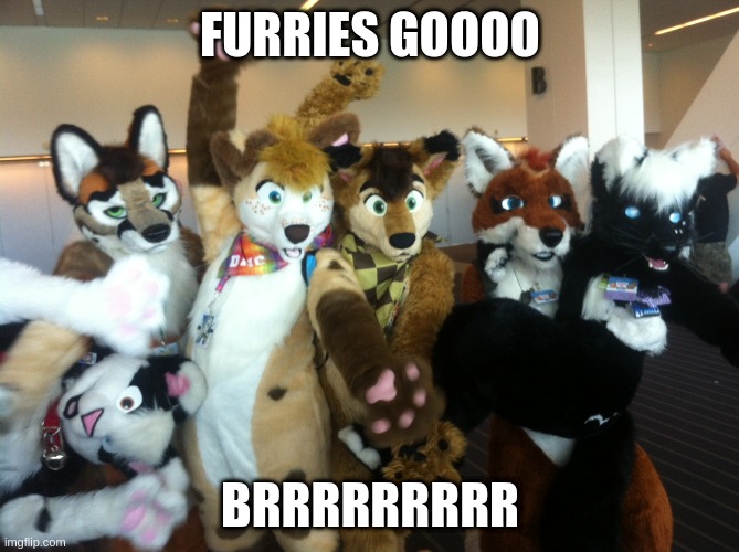 im not a furry, i just support them lol | FURRIES GOOOO; BRRRRRRRRR | image tagged in furries | made w/ Imgflip meme maker