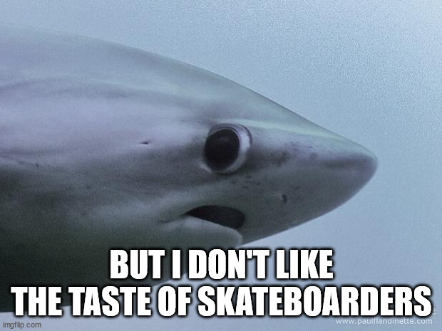 Awkward Shark | BUT I DON'T LIKE THE TASTE OF SKATEBOARDERS | image tagged in awkward shark | made w/ Imgflip meme maker