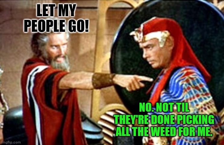 Moses | LET MY PEOPLE GO! NO. NOT TIL THEY'RE DONE PICKING ALL THE WEED FOR ME. | image tagged in moses | made w/ Imgflip meme maker