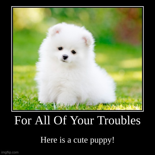 For All Your Troubles | image tagged in cute puppies | made w/ Imgflip demotivational maker