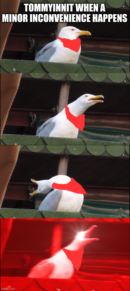 tommyinnit | TOMMYINNIT WHEN A MINOR INCONVENIENCE HAPPENS | image tagged in memes,inhaling seagull | made w/ Imgflip meme maker