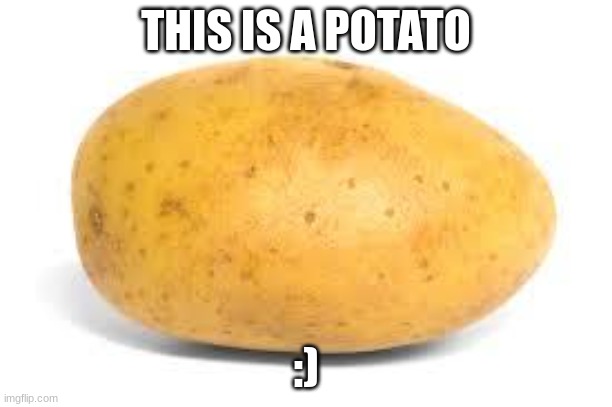 Potato | THIS IS A POTATO; :) | image tagged in potato | made w/ Imgflip meme maker