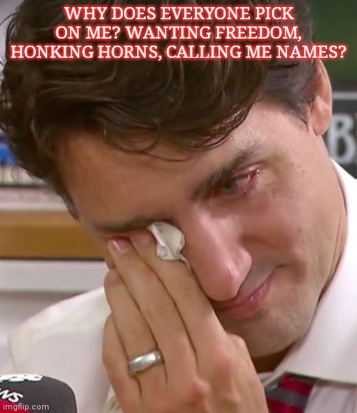 Stop picking on poor Justin | WHY DOES EVERYONE PICK ON ME? WANTING FREEDOM, HONKING HORNS, CALLING ME NAMES? | image tagged in justin trudeau crying,lol,canadian,problems | made w/ Imgflip meme maker