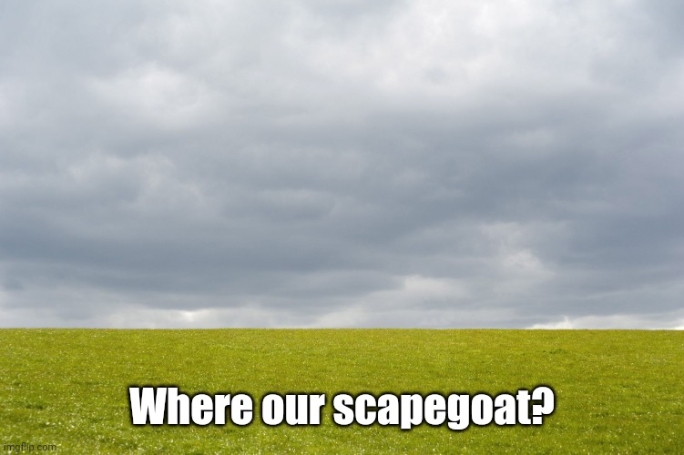 Empty Field | Where our scapegoat? | image tagged in empty field | made w/ Imgflip meme maker