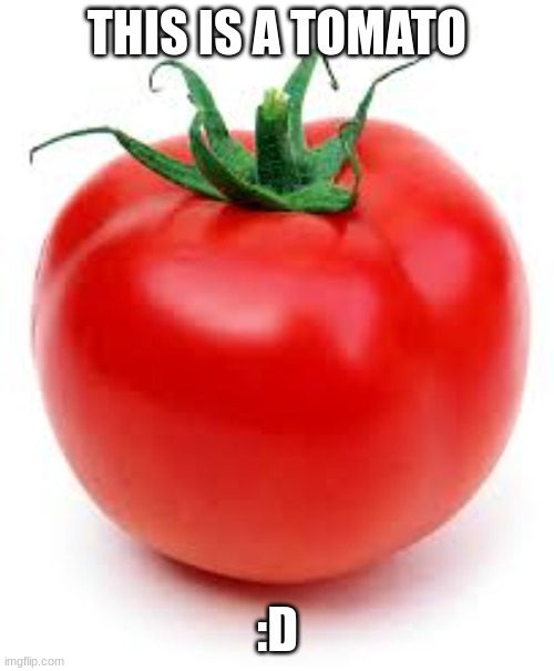 Tomato | THIS IS A TOMATO; :D | image tagged in tomato,red | made w/ Imgflip meme maker