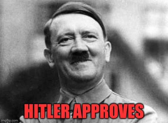Hitler Approves | image tagged in hitler approves | made w/ Imgflip meme maker