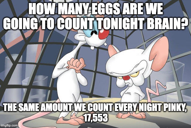 Counting Eggs | HOW MANY EGGS ARE WE GOING TO COUNT TONIGHT BRAIN? THE SAME AMOUNT WE COUNT EVERY NIGHT PINKY, 
17,553 | image tagged in pink and the brain ir | made w/ Imgflip meme maker