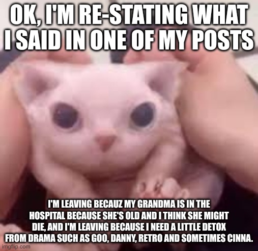 oh and don't go 'f' or cry it's only for about a month | OK, I'M RE-STATING WHAT I SAID IN ONE OF MY POSTS; I'M LEAVING BECAUZ MY GRANDMA IS IN THE HOSPITAL BECAUSE SHE'S OLD AND I THINK SHE MIGHT DIE, AND I'M LEAVING BECAUSE I NEED A LITTLE DETOX FROM DRAMA SUCH AS GOO, DANNY, RETRO AND SOMETIMES CINNA. | image tagged in scrunched bingus | made w/ Imgflip meme maker