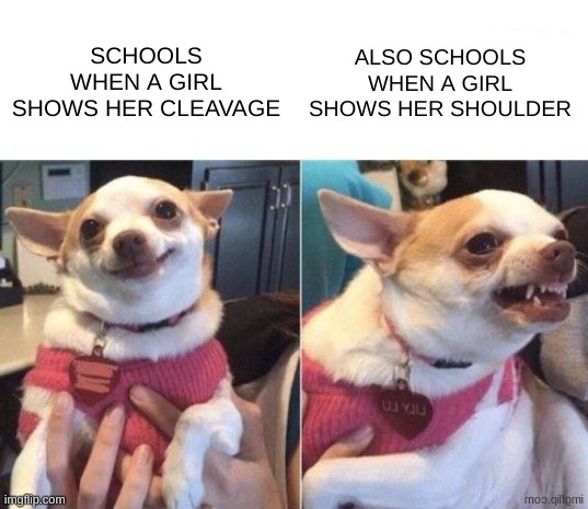 Legit tho | SCHOOLS WHEN A GIRL SHOWS HER CLEAVAGE; ALSO SCHOOLS WHEN A GIRL SHOWS HER SHOULDER | image tagged in happy dog then angry dog,school meme | made w/ Imgflip meme maker