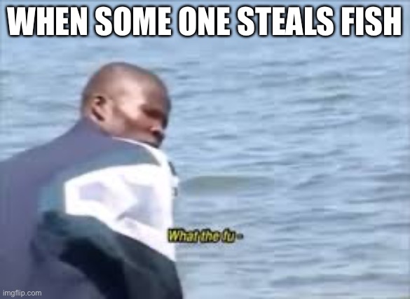 When some one steals fish | WHEN SOME ONE STEALS FISH | image tagged in what the fu- | made w/ Imgflip meme maker