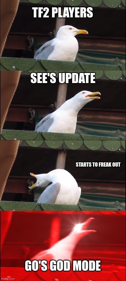 TF2 UPDATE | TF2 PLAYERS; SEE'S UPDATE; STARTS TO FREAK OUT; GO'S GOD MODE | image tagged in memes,inhaling seagull | made w/ Imgflip meme maker