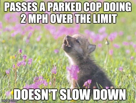 Baby Insanity Wolf Meme | PASSES A PARKED COP DOING 2 MPH OVER THE LIMIT DOESN'T SLOW DOWN | image tagged in memes,baby insanity wolf,AdviceAnimals | made w/ Imgflip meme maker
