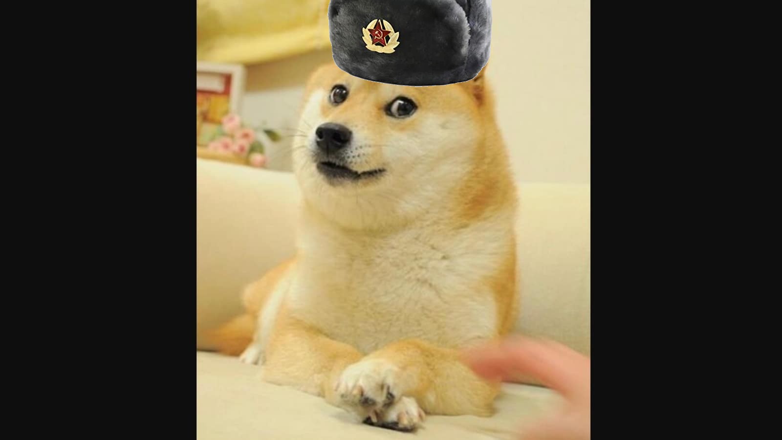 doge with russian hat Blank Meme Template