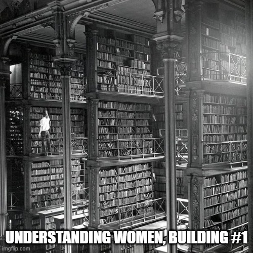 Women | UNDERSTANDING WOMEN, BUILDING #1 | image tagged in women,relationships,lol,funny memes | made w/ Imgflip meme maker