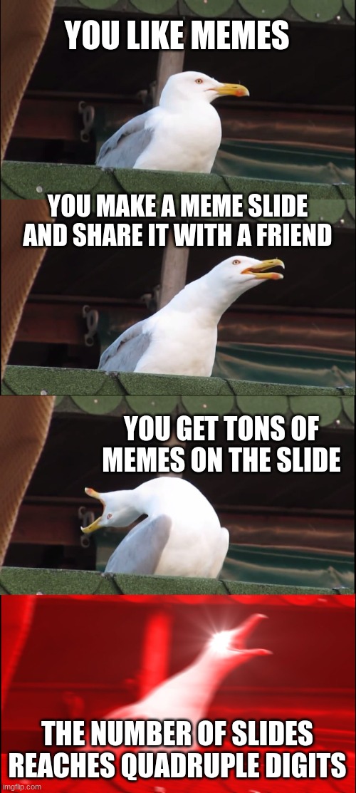 Meme Slide | YOU LIKE MEMES; YOU MAKE A MEME SLIDE AND SHARE IT WITH A FRIEND; YOU GET TONS OF MEMES ON THE SLIDE; THE NUMBER OF SLIDES REACHES QUADRUPLE DIGITS | image tagged in memes,inhaling seagull | made w/ Imgflip meme maker