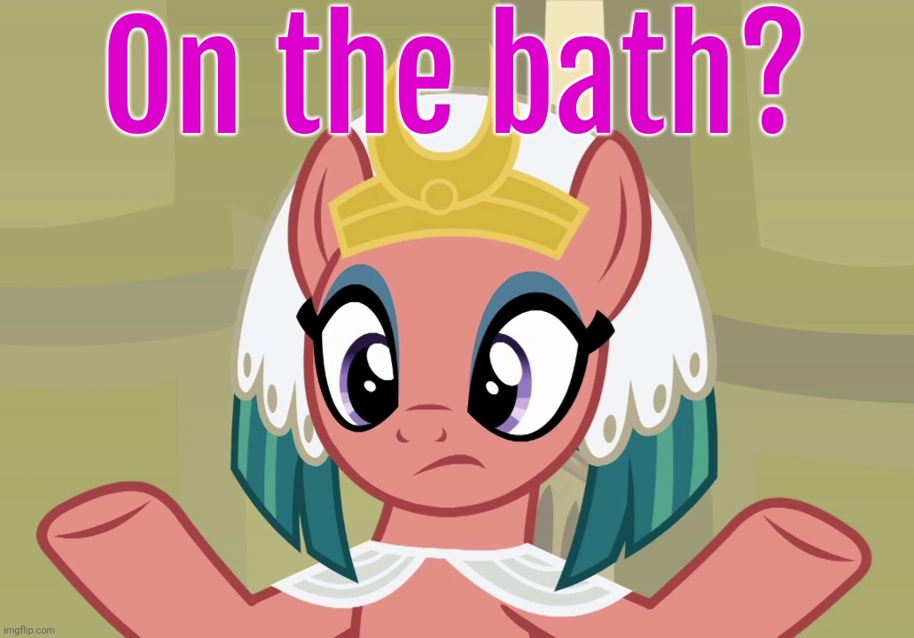 Concerned Somnambula (MLP) | On the bath? | image tagged in concerned somnambula mlp | made w/ Imgflip meme maker