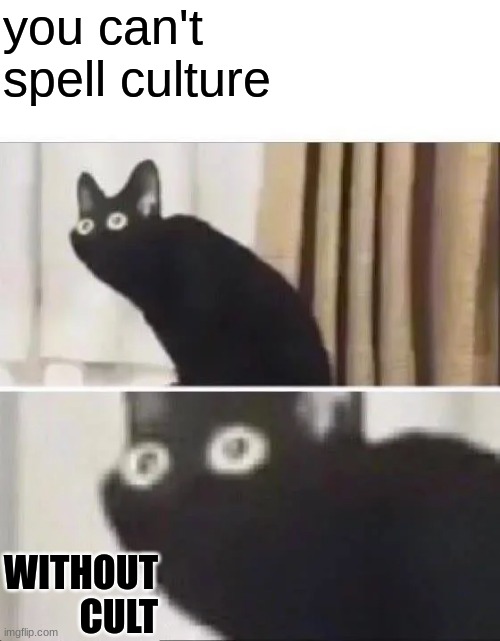 Oh No Black Cat | you can't spell culture; WITHOUT  CULT | image tagged in oh no black cat | made w/ Imgflip meme maker
