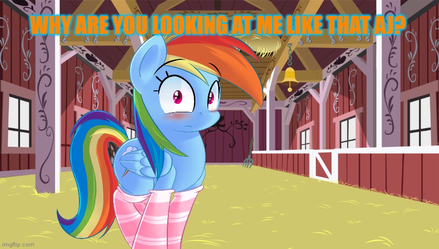Dashie's new socks. | WHY ARE YOU LOOKING AT ME LIKE THAT AJ? | image tagged in dashie,rainbow dash,mlp,applejack | made w/ Imgflip meme maker