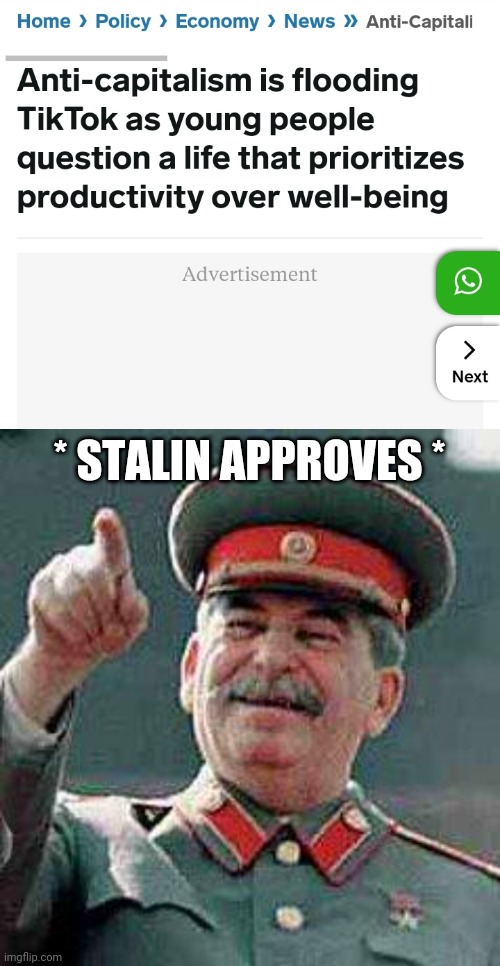 Tiktokers are real dumb people | * STALIN APPROVES * | image tagged in stalin says,tiktok sucks,our meme,capitalist and communist,stalin approves | made w/ Imgflip meme maker