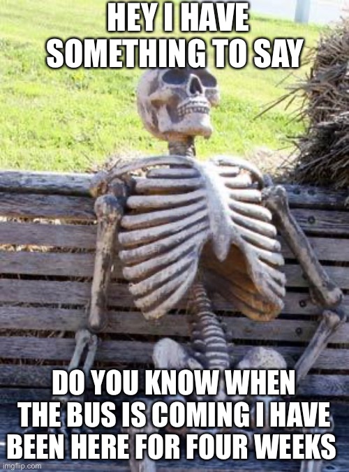 Skeleton boi | HEY I HAVE SOMETHING TO SAY; DO YOU KNOW WHEN THE BUS IS COMING I HAVE BEEN HERE FOR FOUR WEEKS | image tagged in memes,waiting skeleton | made w/ Imgflip meme maker