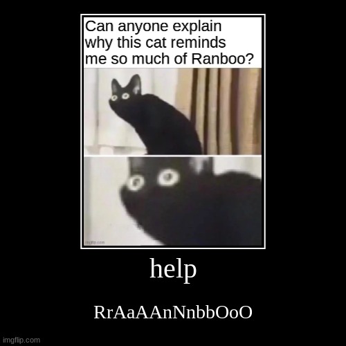 can anyone explain why does this cat remind me so much of ranboo? | image tagged in funny,demotivationals | made w/ Imgflip demotivational maker