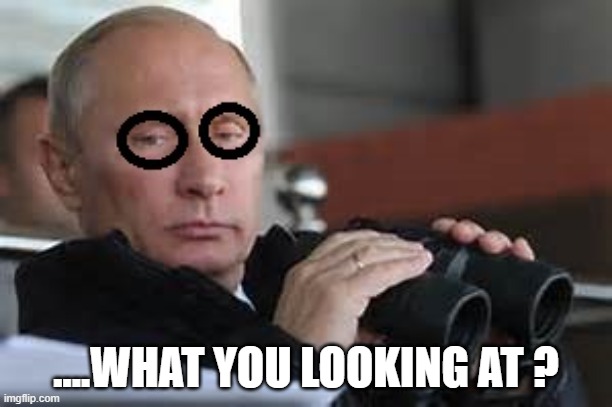....WHAT YOU LOOKING AT ? | image tagged in binos,putin,russia | made w/ Imgflip meme maker