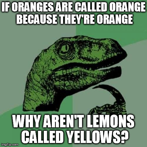 Philosoraptor Meme | IF ORANGES ARE CALLED ORANGE BECAUSE THEY'RE ORANGE WHY AREN'T LEMONS CALLED YELLOWS? | image tagged in memes,philosoraptor | made w/ Imgflip meme maker