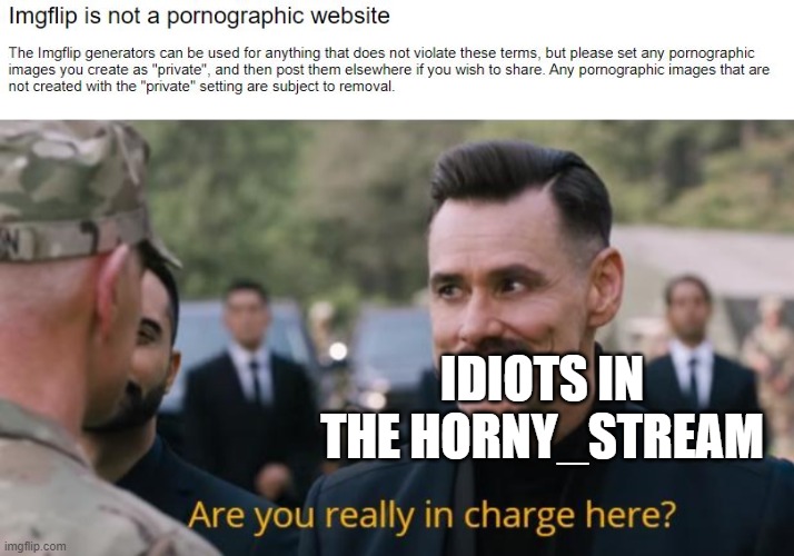 See? Even Imgflip themselves are smart. | IDIOTS IN THE HORNY_STREAM | image tagged in are you really in charge here | made w/ Imgflip meme maker