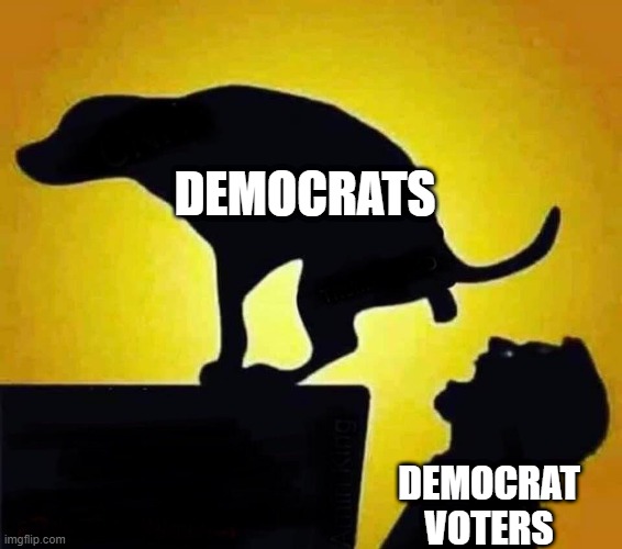 Crime spikes, high inflation, the lowest worker participation rate in 45 yrs, disastrous foreign policy, supply chain shortages. |  DEMOCRATS; DEMOCRAT VOTERS | image tagged in democrats,politics,congress,joe biden,voters,republicans | made w/ Imgflip meme maker
