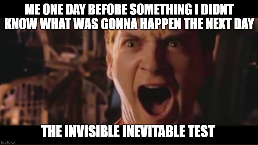 how i think of life | ME ONE DAY BEFORE SOMETHING I DIDNT KNOW WHAT WAS GONNA HAPPEN THE NEXT DAY; THE INVISIBLE INEVITABLE TEST | image tagged in funny memes | made w/ Imgflip meme maker