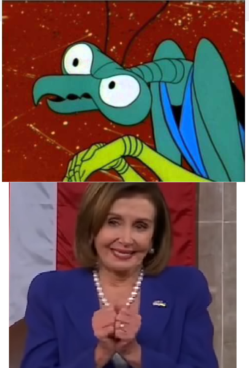 Zorak Pelosi Blank Meme Template