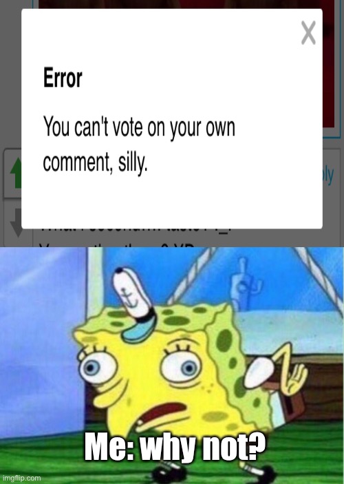 ~”why not”~ | Me: why not? | image tagged in memes,mocking spongebob,imgflip,funny meme | made w/ Imgflip meme maker