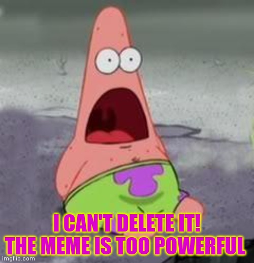 Suprised Patrick | I CAN'T DELETE IT! THE MEME IS TOO POWERFUL | image tagged in suprised patrick | made w/ Imgflip meme maker