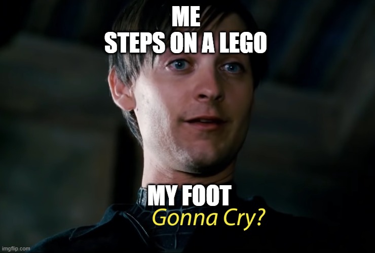 bully mag | ME 
STEPS ON A LEGO; MY FOOT | image tagged in funny memes | made w/ Imgflip meme maker