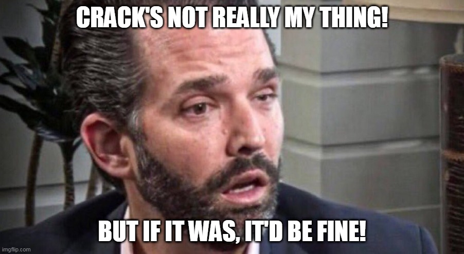 Crack's not my thing | CRACK'S NOT REALLY MY THING! BUT IF IT WAS, IT'D BE FINE! | image tagged in trump junior drugged,trump,junior,maga,cpac | made w/ Imgflip meme maker