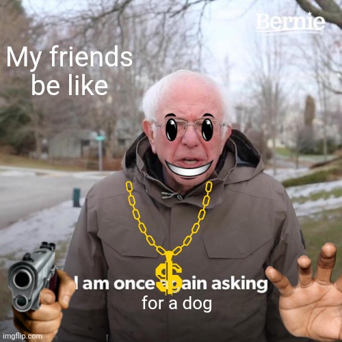 Pov:your friends are asking for a dog | My friends be like; for a dog | image tagged in memes,bernie i am once again asking for your support | made w/ Imgflip meme maker