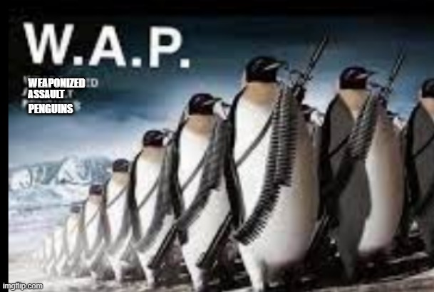 yes | ASSAULT; PENGUINS; WEAPONIZED | image tagged in wap,penguins,weapon,assault | made w/ Imgflip meme maker
