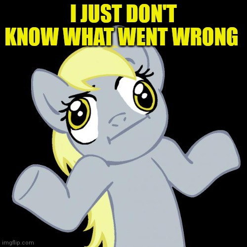 Derpy | I JUST DON'T KNOW WHAT WENT WRONG | image tagged in derpy hooves,my little pony,pony | made w/ Imgflip meme maker