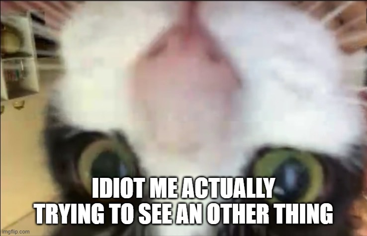 Cat staring at camera | IDIOT ME ACTUALLY TRYING TO SEE AN OTHER THING | image tagged in cat staring at camera | made w/ Imgflip meme maker