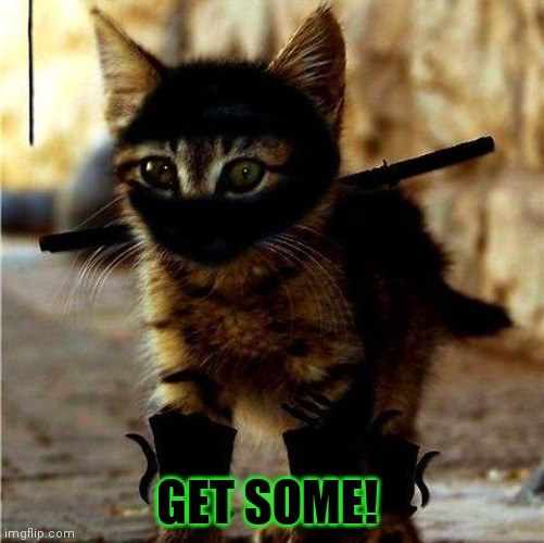 Ninja Cat | GET SOME! | image tagged in ninja cat | made w/ Imgflip meme maker