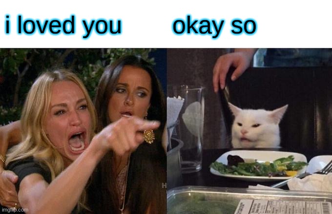 Woman Yelling At Cat | i loved you; okay so | image tagged in memes,woman yelling at cat | made w/ Imgflip meme maker