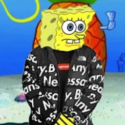 spronchbup drip Blank Meme Template