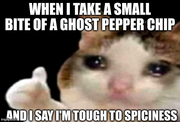 Sad cat thumbs up | WHEN I TAKE A SMALL BITE OF A GHOST PEPPER CHIP; AND I SAY I'M TOUGH TO SPICINESS | image tagged in sad cat thumbs up | made w/ Imgflip meme maker