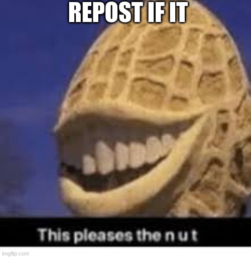 This pleases the nut | REPOST IF IT | image tagged in this pleases the nut | made w/ Imgflip meme maker