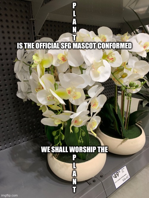 PLANT | P
L
A
N
T
IS THE OFFICIAL SFG MASCOT CONFORMED; WE SHALL WORSHIP THE
P
L
A
N
T | made w/ Imgflip meme maker